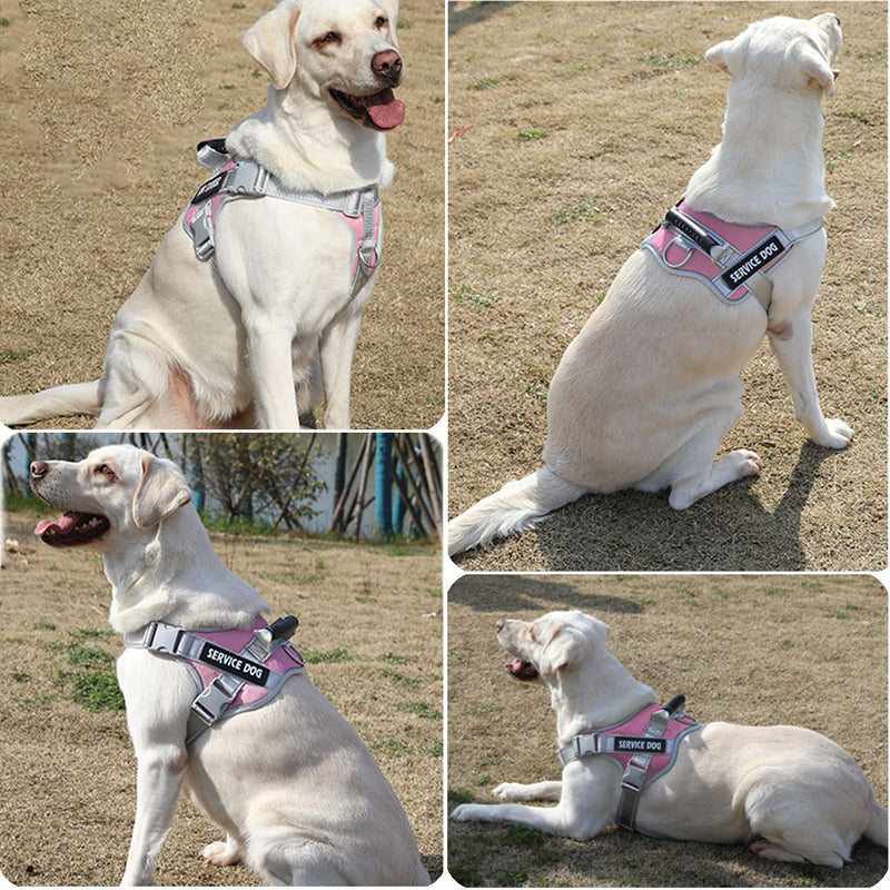 Dogmify Service Dog Vest,No Pull in Training Service Dog Harness and 5FT Dog Leash Set, Adjustable 3M Reflective Nylon Pet Dog Vest with Handle,Easy Control for Small Medium Large Dogs Small (Pack of 1) Pink - PawsPlanet Australia
