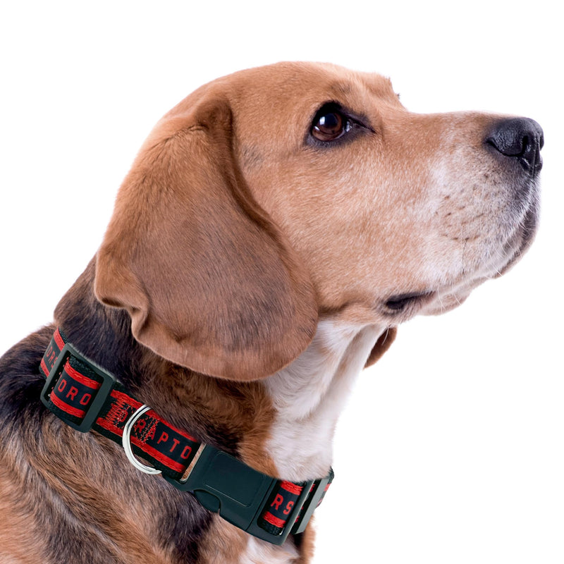 New & Improved Pets First NBA Toronto Raptors Dog & Cat Collar, Size Large Basketball Team Collar - PawsPlanet Australia