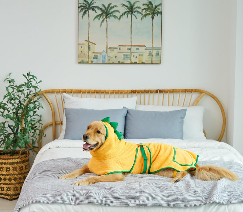 Dog Bathrobe for Drying Dogs - Premium Super Absorbent Microfiber Dog Bath Towel with Drying Gloves - Dog Drying Towel - Quick Drying Dog Robes for After Bath (Large) Large - PawsPlanet Australia