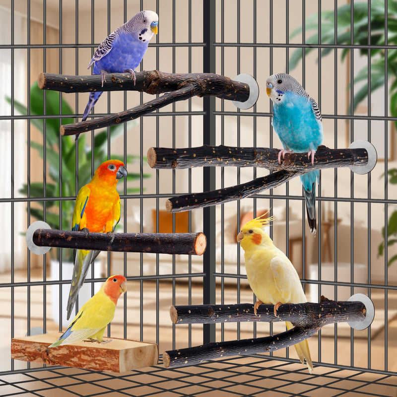 Bird Toys Parakeet Perch Budgie Perch Wood Stand Fork Toys Multi-Branch Perch Platform Toy for Small Conures,Cockatiel,Parrotlet,Lovebird,Parrot,Finches - PawsPlanet Australia