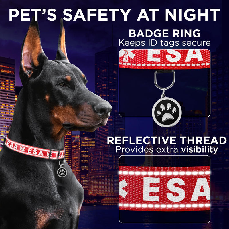 TECEUM Reflective Pet Collar – Red - ESA – XL – Basic Nylon Dog Collar – Quick Release Buckle – Fits Small, Medium and Large Dogs, Puppies, Cats – ESA & Service Dog Options