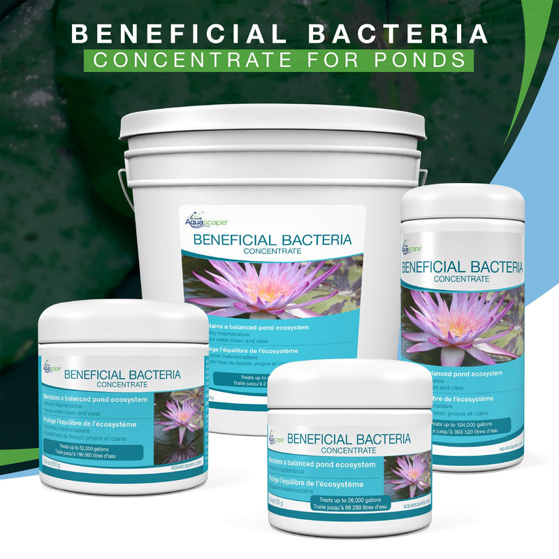 Aquascape Beneficial Bacteria Concentrate for Pond and Water Features, 1.1-Pound, 98949 1.1 lb - PawsPlanet Australia