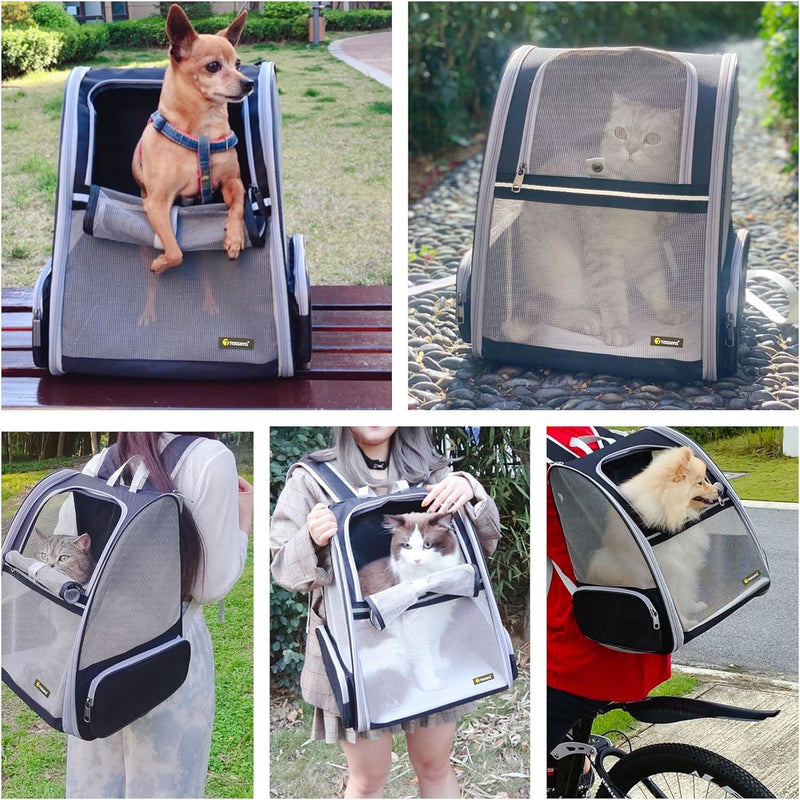 Texsens Pet Backpack(Expandable-Black) & Ear Care Wipes Combo‌ - PawsPlanet Australia
