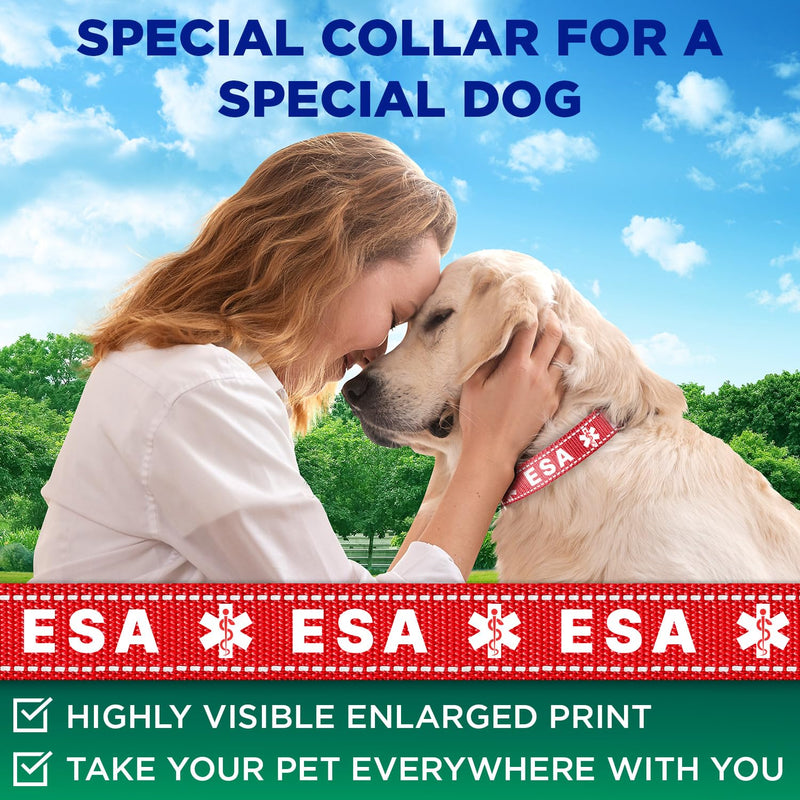 TECEUM Reflective Pet Collar – Red - ESA – XL – Basic Nylon Dog Collar – Quick Release Buckle – Fits Small, Medium and Large Dogs, Puppies, Cats – ESA & Service Dog Options