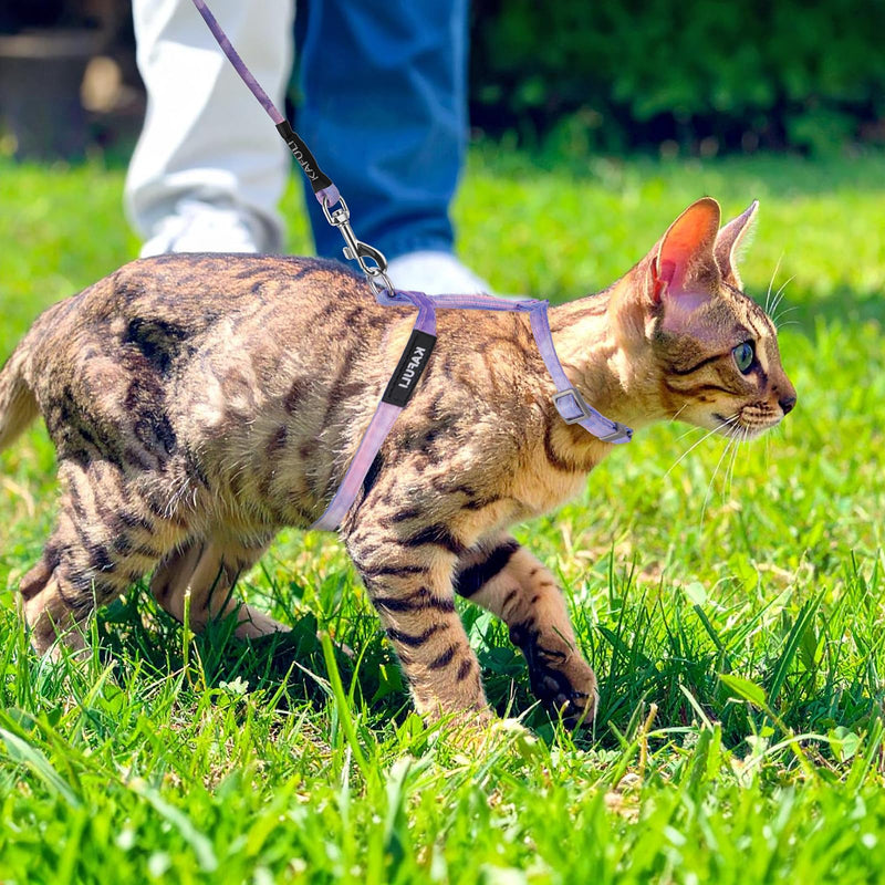 Cat Harness and Leash for Walking Escape Proof Adjustable Soft Harnesses and Leash Set Easy to Wear Kitten Harness for Travel Training and Walking(Gradient Purple) Gradient Purple - PawsPlanet Australia
