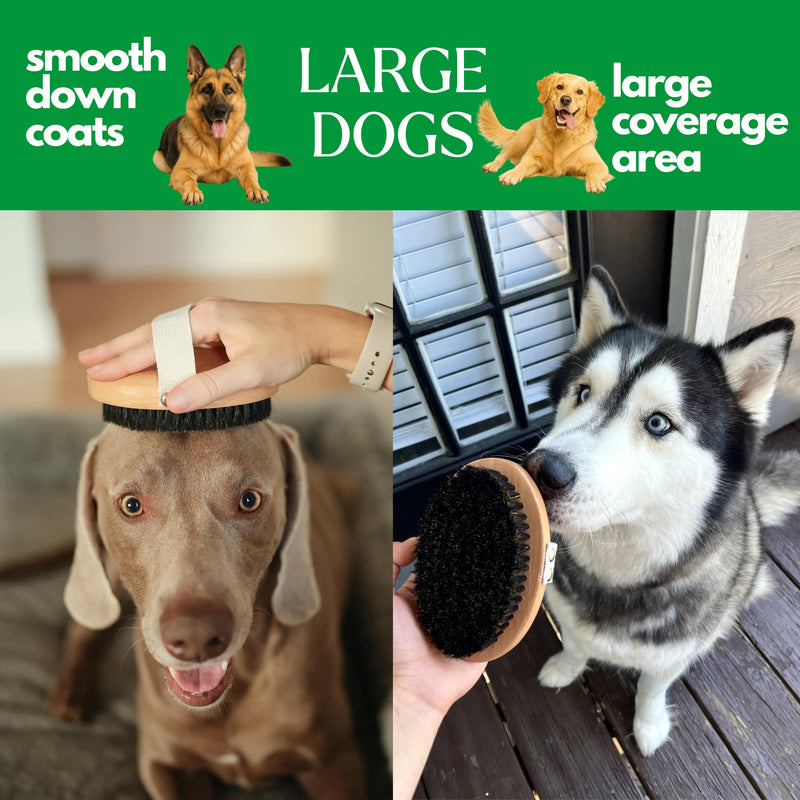 GranNaturals Soft Bristle Dog Brush for Short Haired Dogs & Cats w/Strap - Wooden Handle & Gentle Boar Bristles for Deshedding, Smoothing and Grooming Pet Hair Fur to Give Naturally Shiny Coat - PawsPlanet Australia