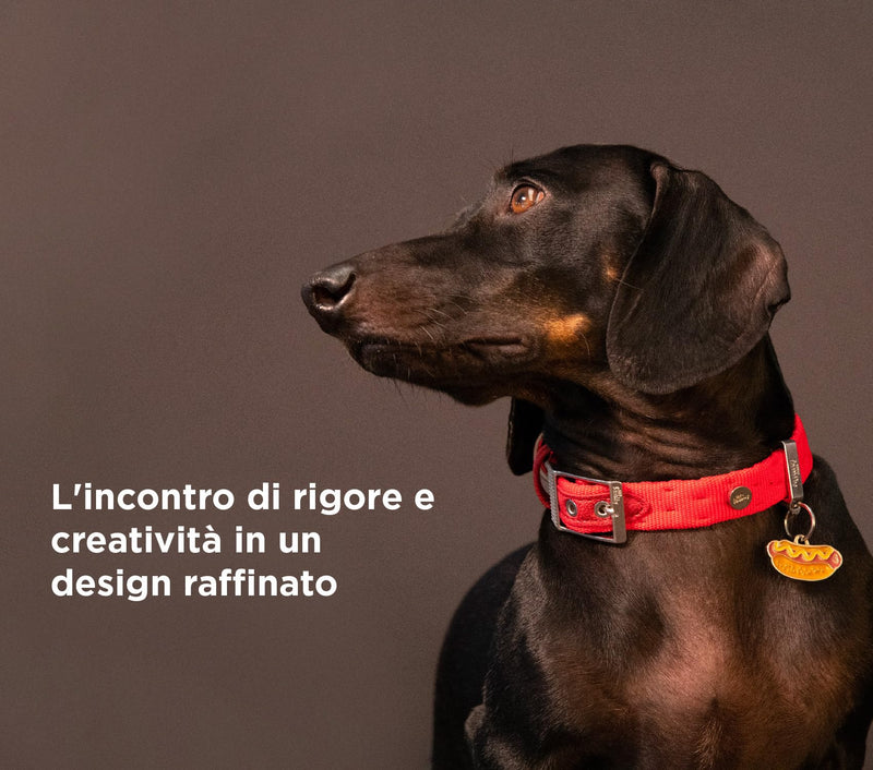 MyFamily Adjustable Dog Collar in Nylon Made in Italy, White Bronze Metallic Finish, Comfortable and Durable, Handmade, Milan Collection Light Blue 49-59 cm