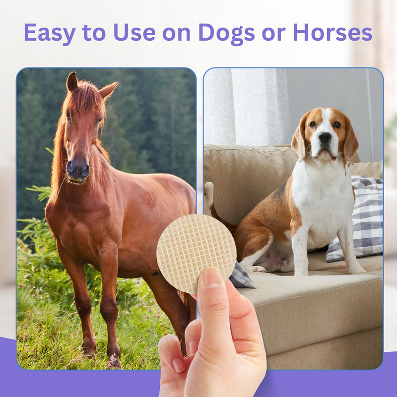 Pavia Power Pads | Natural Anti-Lick Healing Pads for Dogs and Horses | Prevents Licking and Supports Healing of Hot Spots, Sores, Wounds & Incisions | Propolis & Oregano Oil Formula | 42 Pads