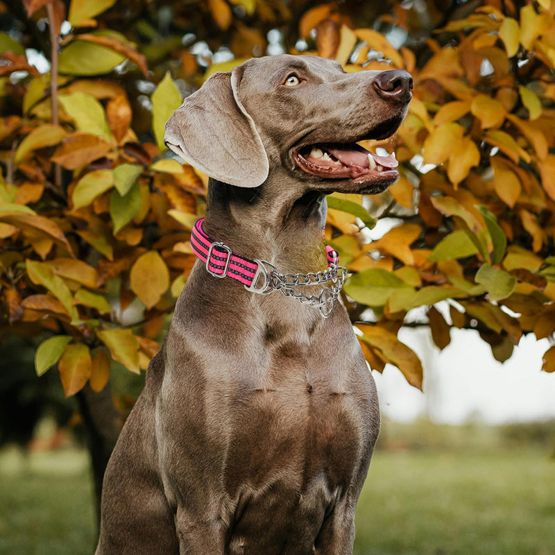 Reflective Martingale Dog Collar with Chain,No-Pull Dog Collar,Choke Dog Collar for Medium to Extra Large Dogs for Training, Walking, Hunting (Pink M) P Medium (12"-17")