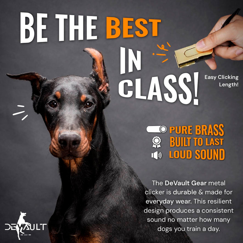 Gold Dog Clicker with Necklace - Clickers for Pet Training - Dog Training & Behavior Aids Easy to Carry with You Anywhere - Teach Your Dog Tricks or Reward His Behavior 1 Pack Gold - PawsPlanet Australia