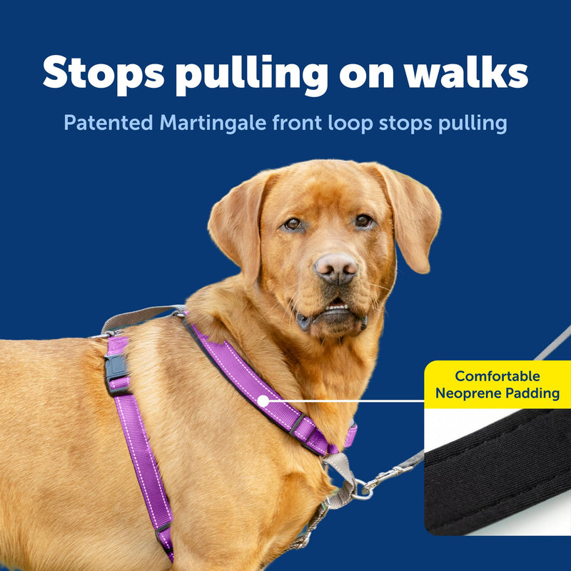 PetSafe 3-in-1 Harness - Comfortable Easy-Walk Dog Chest Harness with Front Leash Attachment to Reduce Pulling, Choking & Gagging - Dog Obedience Gear - Large - Plum Large (Pack of 1)