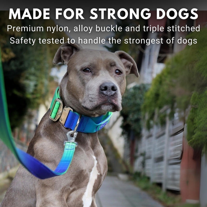 Spark Paws Tactical Dog Collar - Heavy Duty, Premium Quality, Thick and Durable for Large and Medium Dogs - Lime Wave - M M: 50-85 lbs [2" wide] - PawsPlanet Australia