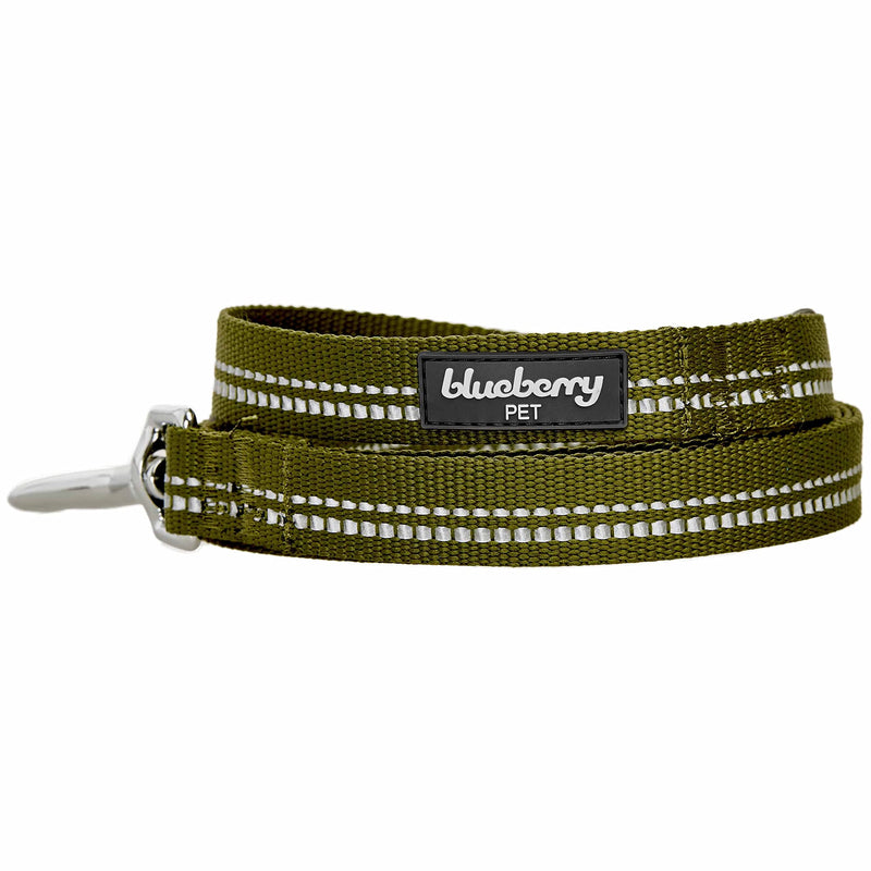 Blueberry Pet 3M Reflective Pastel Color Dog Leash with Soft & Comfortable Handle, 5 ft x 3/4", Olive Green, Medium, Leashes for Dogs Large - PawsPlanet Australia