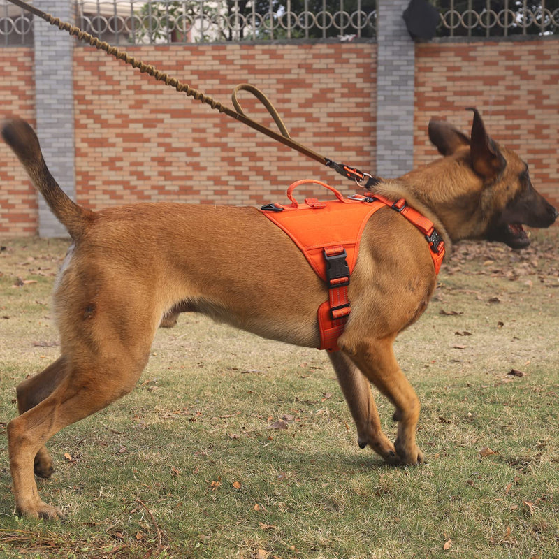 ICEFANG GN8 Quick-Moving Tactical Dog Harness with 2xMetal Buckles for Medium Sized Dogs,Reflective K9 Vest,No-Pull Front Leash Clip,5-Points Adjustable Pet Harness (Orange, Medium (Pack of 1)) Medium (Pack of 1) Orange - PawsPlanet Australia