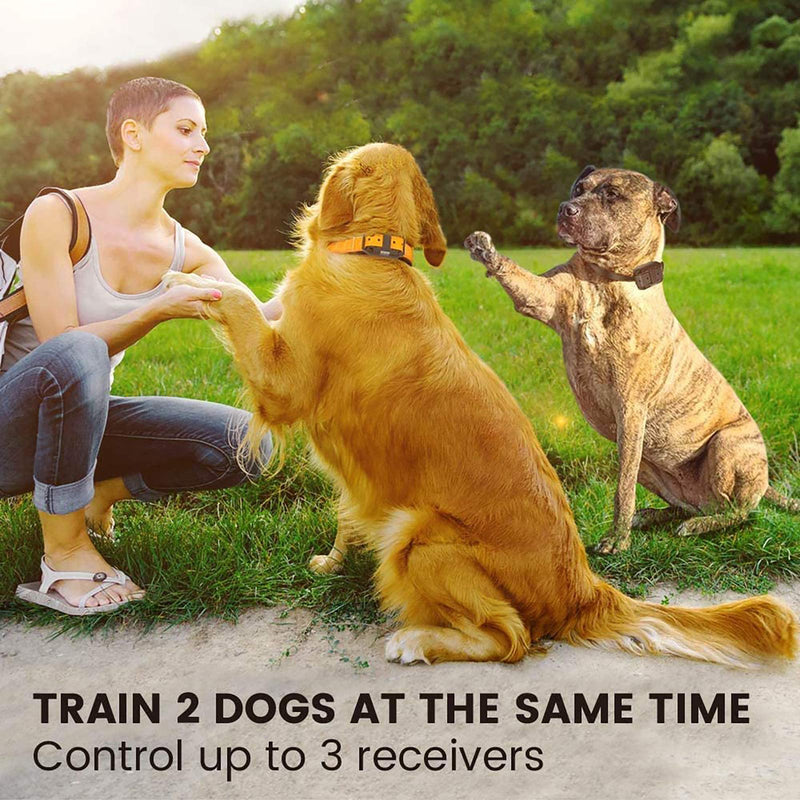 Funnipets Dog Training Collar 2600Ft Range Dog Shock Collar with Remote for Small Medium Large Dogs Waterproof Electronic Dog Collar 4 Training Modes Light Shock Vibration Beep (2 Pack, Orange+Black) 2 PACK - PawsPlanet Australia