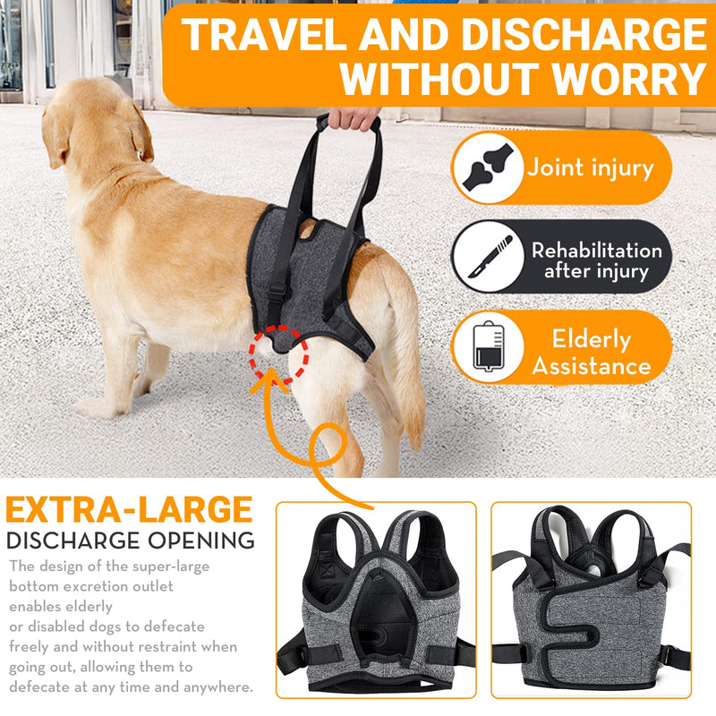 Dog Lifting Harness for Back Legs, Dog Support Harness, Adjustable Walking Aid, Hind Leg Brace for Injured, Elderly Dogs (Dark grey, M) Dark grey