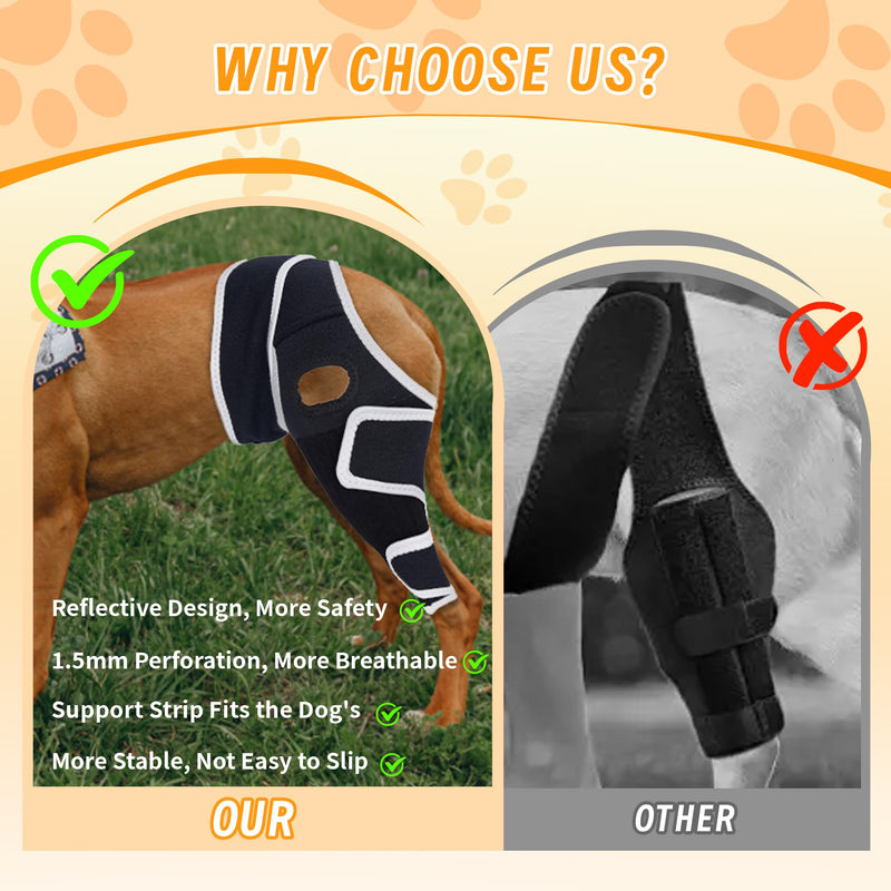 Adjustable Dog Knee Brace for Torn ACL and Ligament Injuries – Durable, Comfortable Support for Hind or Front Legs, Helps Recovery, Stabilizes Ligaments, and Enhances Daily Activity, S