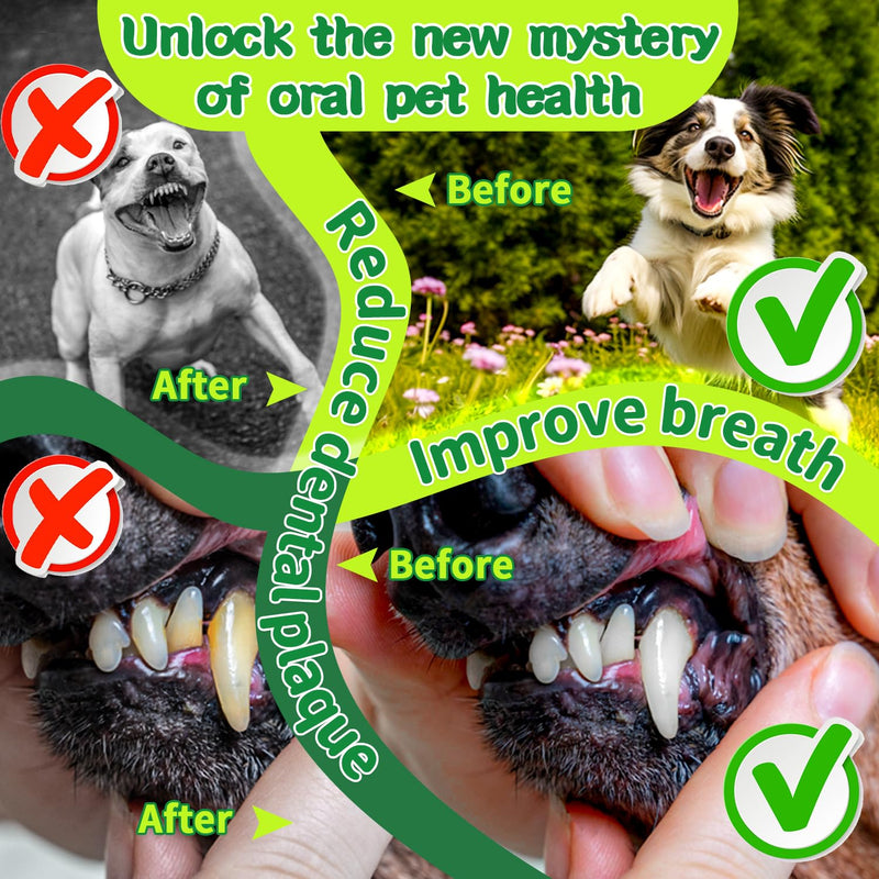 Mimo Style Dog Dental Powder, Dog Teeth Cleaning Powder, Targets Tartar & Reduces Plaque & Bad Breath - Teeth Cleaning Made Easy Eliminate - Meat-Flavored Formulated (Green) White - PawsPlanet Australia
