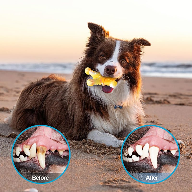 Dog Toys 3 Pack, Indestructible Dog Toys for Aggressive Chewers, Tough Dog Chew Toys for Large Medium Breed, Dog Bones Chew Toys for Super Chewer - PawsPlanet Australia