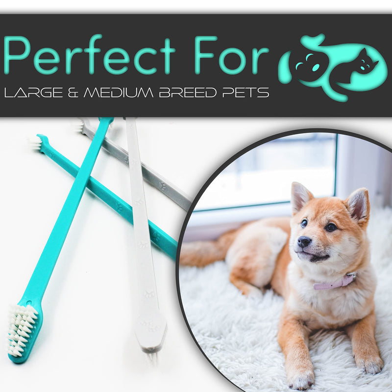 H&H Pets Dog Toothbrush Dual Headed Design Dental Toothbrushes for Small & Large Dogs, 4 or 8 Counts Pack 8 Count (Pack of 1) - PawsPlanet Australia