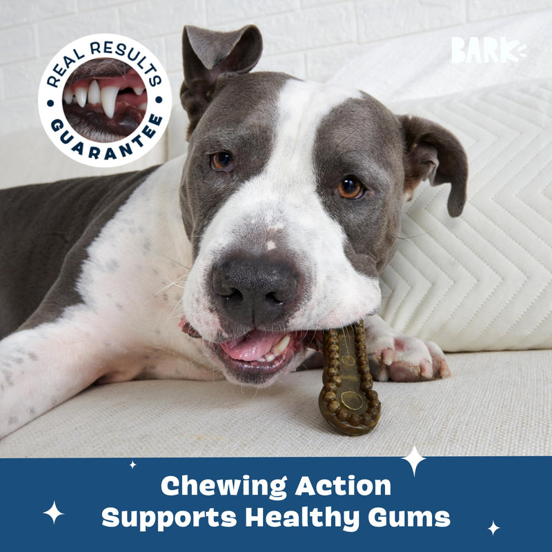 Barkbox Bright Durable Dental Chew Sticks for Dogs - 15 Chews Made for Tough Chewers, Large Breeds