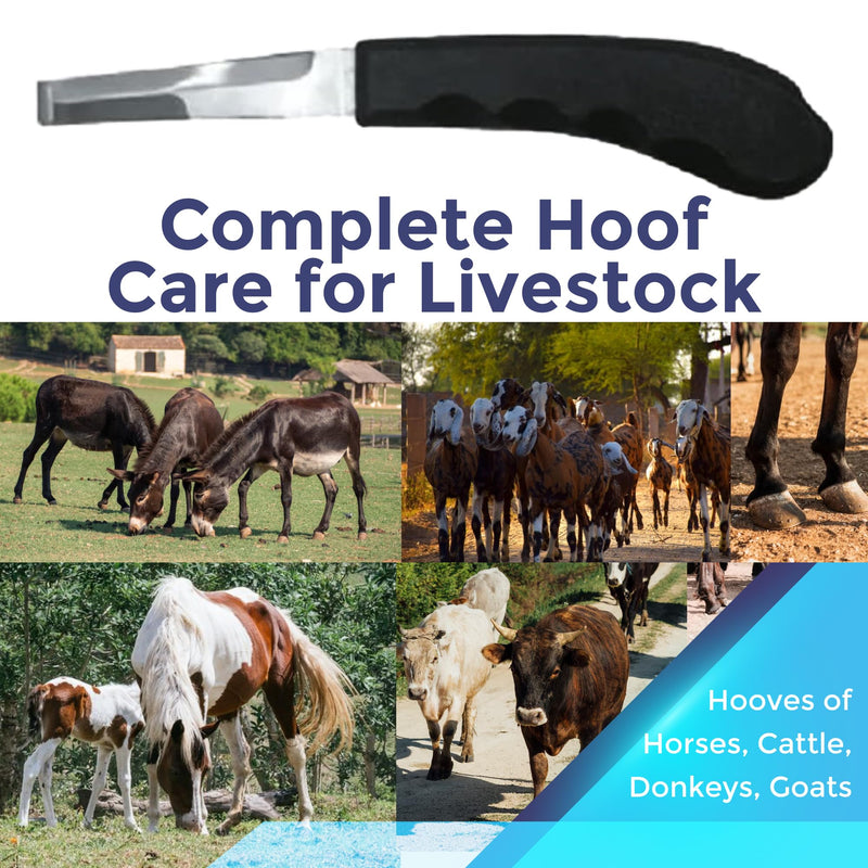 Regular Hoof Knife for Horses – Farrier Tool with Plastic Grip – Hoof Trimming Knife for Equine Care & Veterinary Use (Semi-Wide Blade) Semi-Wide Blade - RH