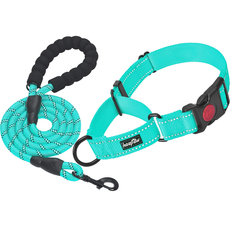 2 Packs Martingale Dog Collar with Quick Release Buckle Reflective Dog Training Collars for Small Medium Large Dogs L-Martingale collar Turquoise, Martingale Collar+Leash