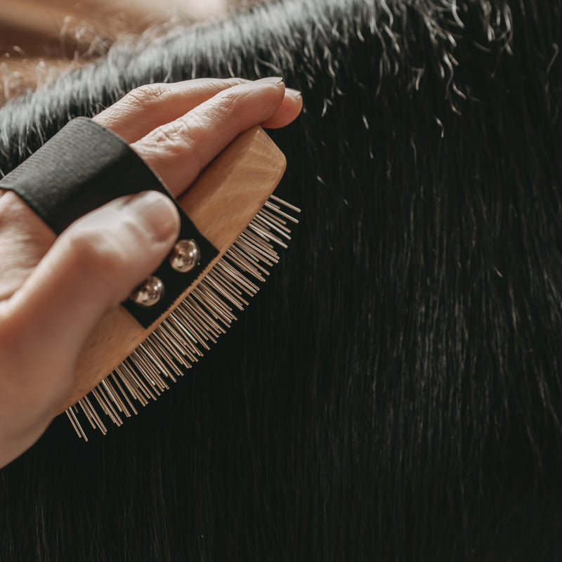 Long hair brush for dogs - with rounded metal tines, vegan, with beech wood from sustainable forestry, Made in Germany, BRUSH LONG HAIR by LILA LOVES IT - PawsPlanet Australia