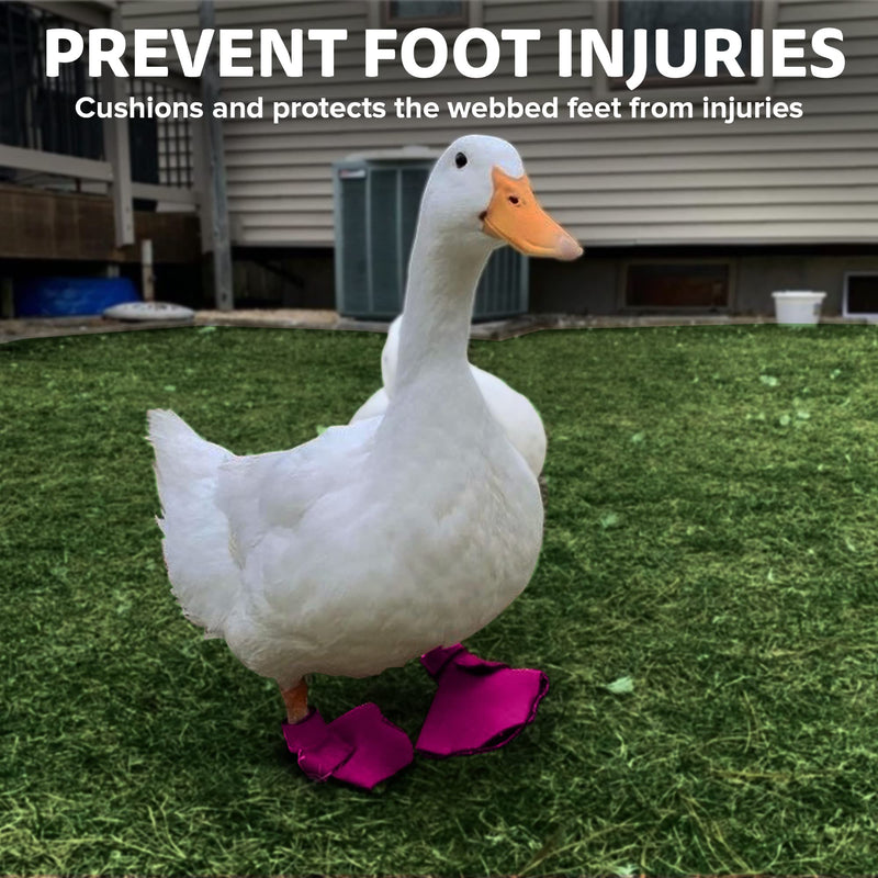 Duck Shoes for Injured Feet – Protective Neoprene Footwear for Ducks, Protective Shoes for Birds with Injured feet, Bumblefoot Relief - Large, 4.5” Max. Inside Width - Pink Large Waterfowl DUCK AND GOOSE SHOES - PawsPlanet Australia