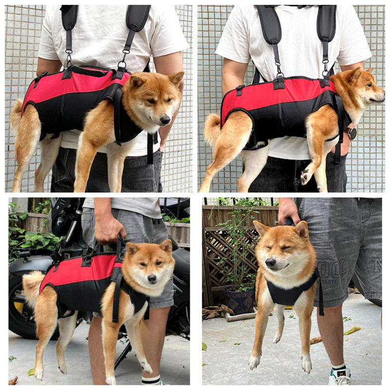 Dog Backpack Carrier for Medium/Small Dogs Dog Carrying Backpack Emergency Backpack Old, Disabled, Joint Injuries, Arthritis, Senior Dogs Up and Down Stairs, Cars Dog Hiking Backpack (S) S - PawsPlanet Australia