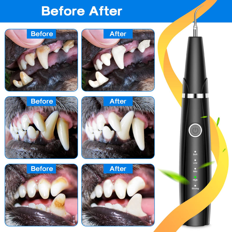Ultrasonic Dog Teeth Cleaning Kit for Pet Teeth Cleaning, Dog Plaque Remover for Teeth, 5 Modes Dog Tartar Remover for Teeth Care to Remove Stains Calculus, 10 in 1 Pet Cleaner Toothbrush (Black) Black - PawsPlanet Australia