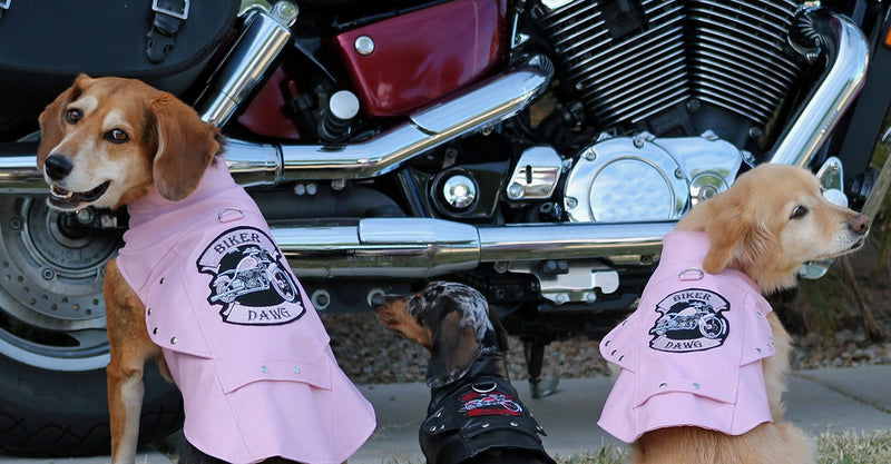 DOGGIE DESIGN Biker Dawg Motorcycle Dog Jacket (X-Small, Pink)