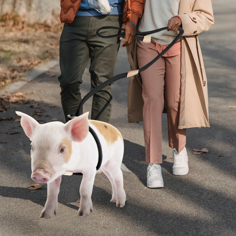 Mini Pig Harness & Leash, Adjustable 8 Feet Long Rope for Small to Medium Pet Pigs Black - PawsPlanet Australia