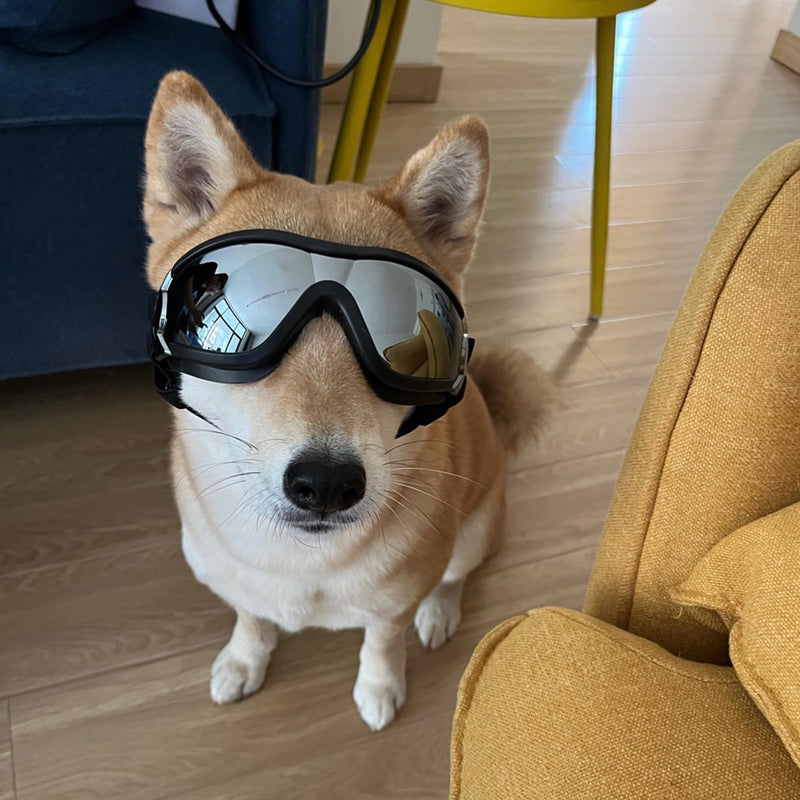 Dog Sunglasses for Large and Medium Breed, Dog Goggles for Large Dogs, Sun Protection, Windproof, Waterproof, Dustproof and Anti-Fog with Adjustable Strap for Driving, Motorcycle, Surfing - PawsPlanet Australia