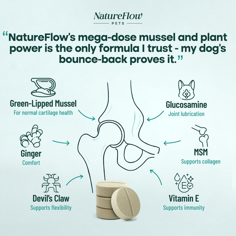 Natureflow Hip and Joint Supplement for Dogs 50ct, Power of Nature, Made in USA, Up to 100 Days Supply, with Green-Lipped Mussel, Glucosamine, Chondroitin, MSM & Devil’s Claw, for All Breeds 50 Counts - PawsPlanet Australia