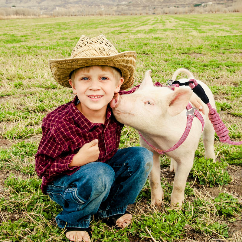 Mini Pig Harness, Adjustable Small Pig Harness with Leash Infinity Style Lead and Soft Foam Handle for Small to Medium Pet Pigs Walking Training Jogging (Pink, M) Pink - PawsPlanet Australia