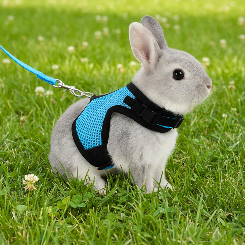 Bunny Harness and Leash Set, Adjustable Breathable Mesh Rabbit Vest with Double Buckles, Escape Proof Walking Training for Kittens, Rabbits, Ferrets, Guinea Pigs, Small Pets, Light Blue, Size M - PawsPlanet Australia