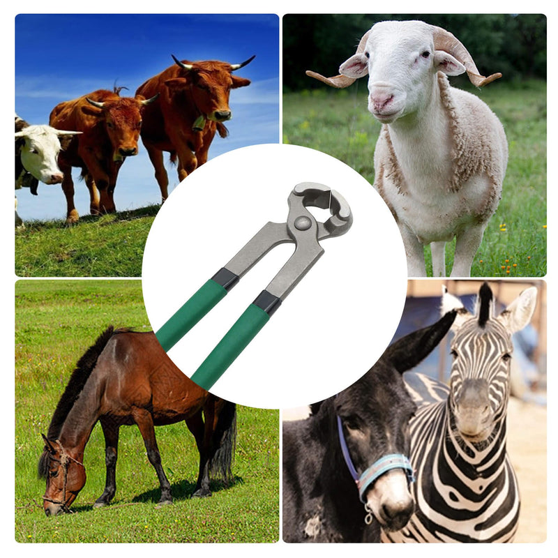 8 inch Hoof Nipper with Rubber Handle, Heavy Duty Farrier Trimmer for Cutting Horse/Goat/Cow/Donkey/Animal Hooves, Strong - PawsPlanet Australia