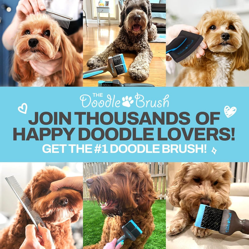 Slicker Brush for Dogs, Single Head Dog Grooming Brushes, Flexible Head Slicker for Dogs, Poodle, Labradoodle, Cockapoo, Tangle-Free Grooming, Healthy & Shiny Coat Pet Brushes - PawsPlanet Australia