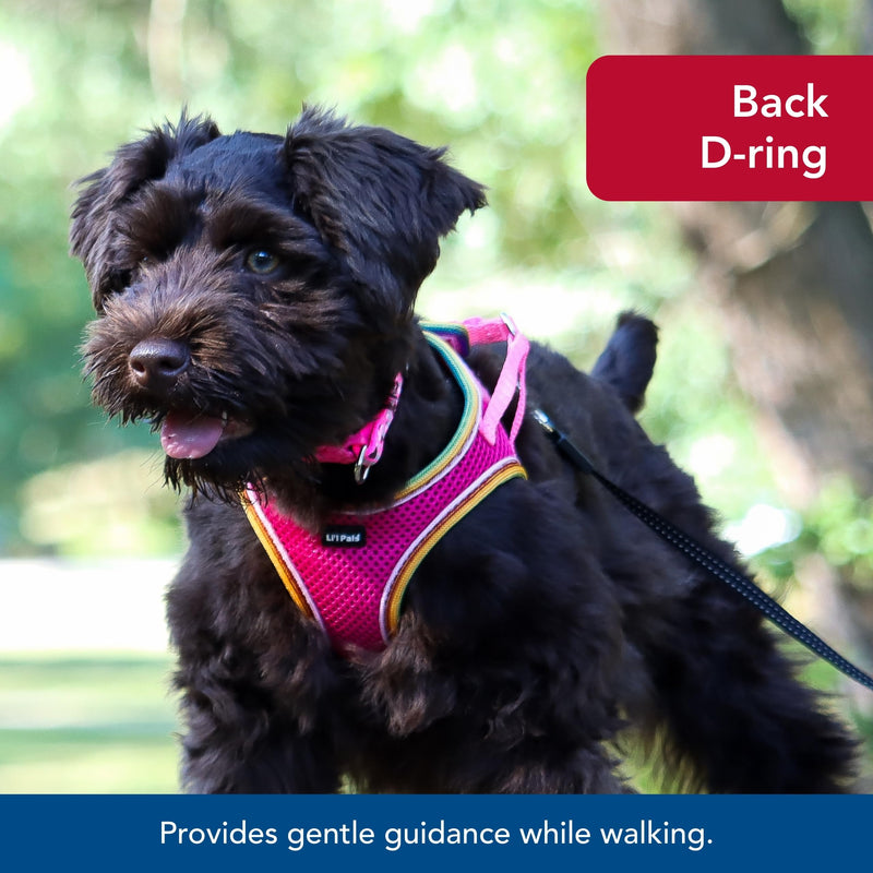 Coastal Pet Li'l Pals Comfort Mesh Dog Harness - No-Pull, Cooling Vest, Small Dog & Puppy - Blue Lagoon - X-Small/Small 3/8" x 8"-10" - PawsPlanet Australia