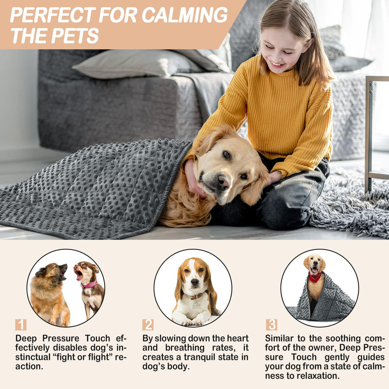 YUSRA Small Weighted Blanket for Dogs, Warm Minky Dog Blanket Especially for Thunderstorms, Fireworks, Separation, Travel, Bed and Couch, Machine Washable, Soft Dog Blanket (Grey, 24 * 32inch 2lbs) 24*32inch 2lbs Grey - PawsPlanet Australia