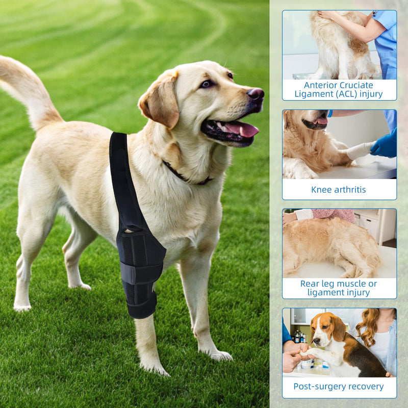 Adjustable Dog Knee Brace for Acl Support, Built-in Hard Support to Recovery and Injury Prevention - Perfect for Torn Ligaments, Knee, Hock, and Ankle Injuries - (M Size) M