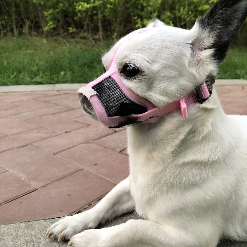 Small Dog Muzzle XS for Grooming Barking Chewing, Barkless Soft Mesh Muzzles to Prevent Eating Poop Things,Best for Aggressive Dogs (Crystal Pink) Breathable Pink