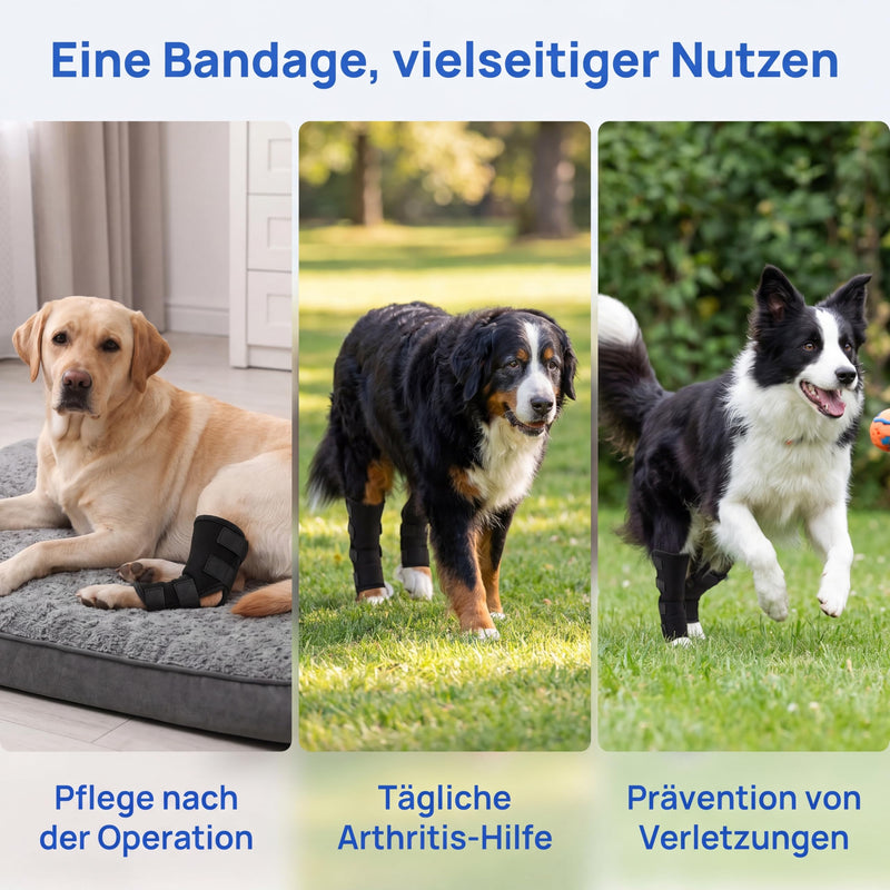 2 pcs√ºck ...