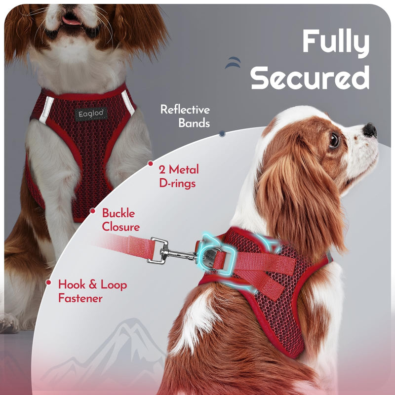 Eagloo Small Dog Harness and Leash Set, Step in Puppy Vest with Breathable Soft Mesh, Walking Reflective Pet Harness for Small Dogs, Red, XS XS(Chest:13.3"-15.5") - PawsPlanet Australia