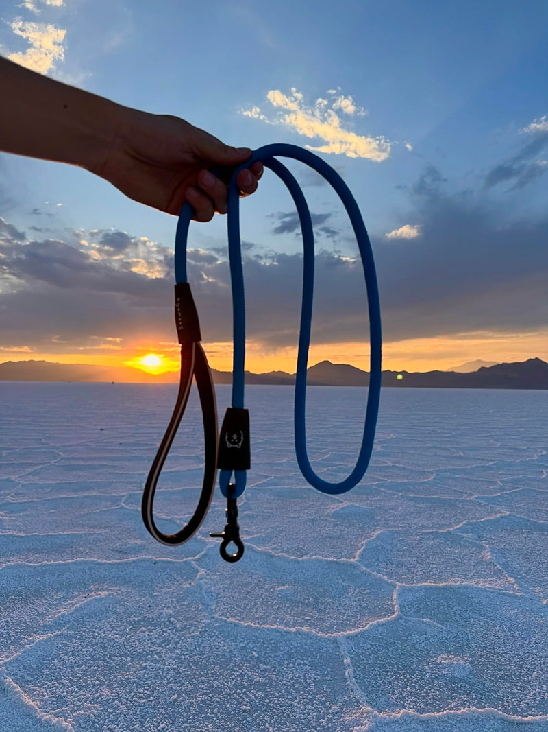 ShawnCo Basecamp Rope Dog Leash- Premium, Durable Pet Leash with Soft Neoprene Padded, Reflective Handle for Small, Medium and Large Dogs (ICY Lilac, 5 Feet) Icy Lilac - PawsPlanet Australia