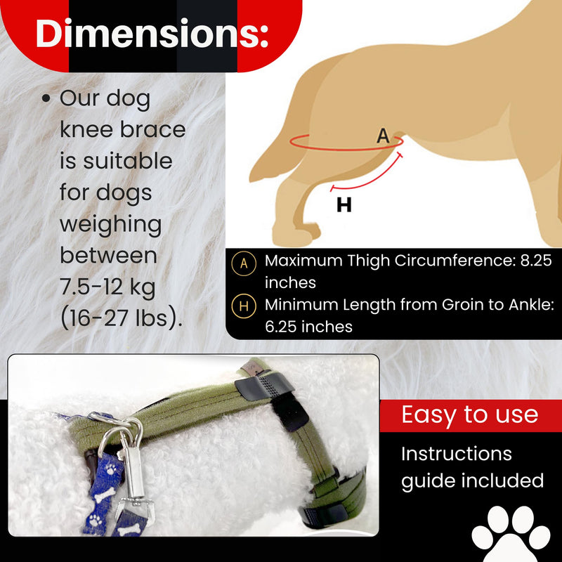 Dog Knee Brace for Male/Female Dogs - Neoprene Support Dog Leg Braces for Back Leg with Adjustable Straps and Belt - Torn ACL Hind Leg, Ligament Injury, Joint Pain and Stability (Medium, Left) Medium - PawsPlanet Australia