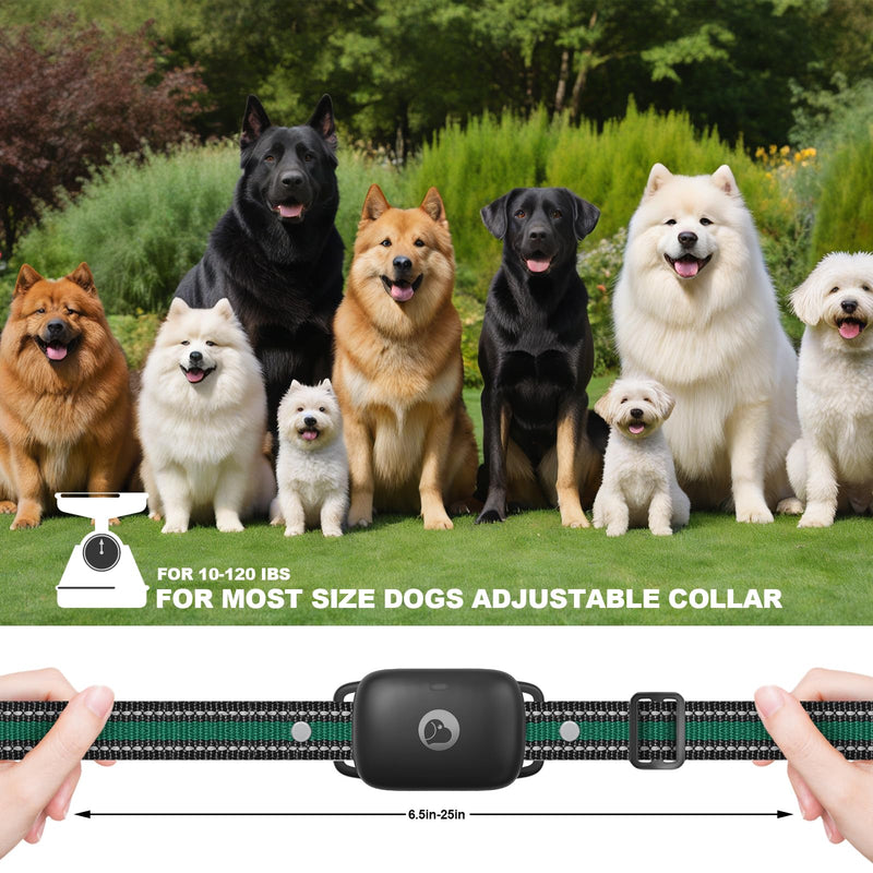 Electric Dog Training Collar with a 2600FT Remote Range, Rechargeable and Waterproof, Features 3 Training Modes and Security Lock for Dogs of All Breeds and Sizes 2x Dogs (Black) - PawsPlanet Australia