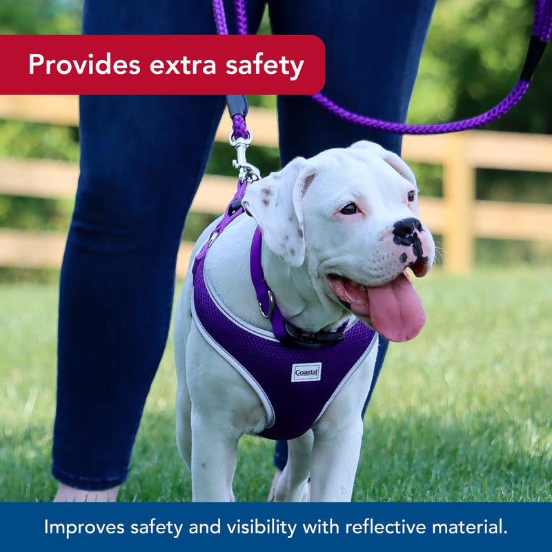 Coastal Pet Comfort Soft Reflective Wrap Adjustable Dog Harness - No-Pull Dog Harness for Small & Large Dogs - Purple - 1" x 28"–36" - PawsPlanet Australia