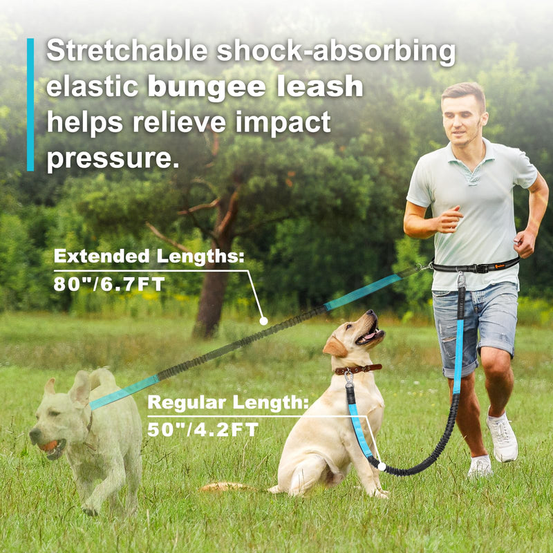 Hands Free Dog Leash, Adjustable Waist Leash for Dog, Handle Bungee Dog Leash 4.2-6.7 Feet Long with Reflective Stitches for Walking Hiking Running, Fits 26"- 47" Waist, Black & Blue Black-Blue - PawsPlanet Australia